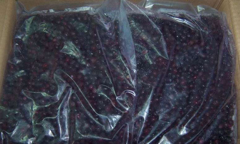 Frozen Blueberry