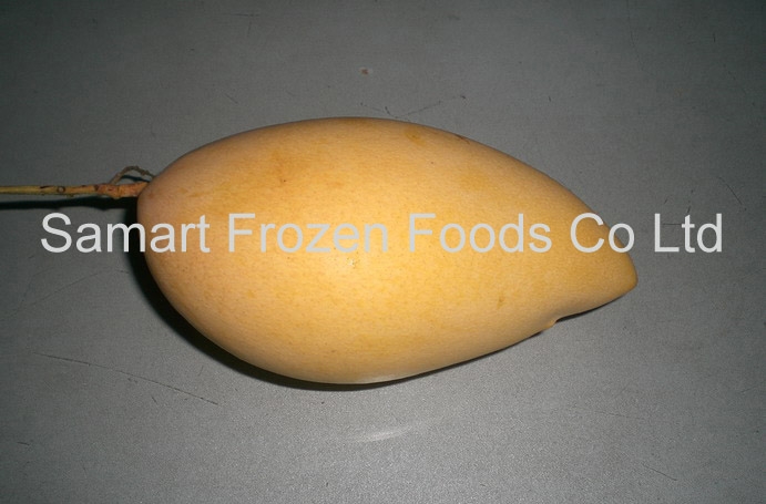  Frozen   Mango  Slice