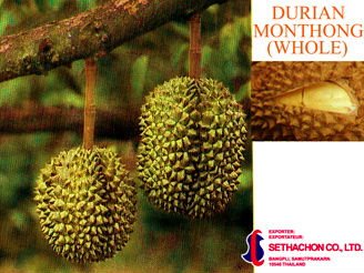  Durian   monthong 