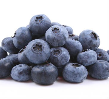 IQF Blueberry