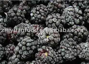  Frozen   Blackberry  ( IQF  fruit)