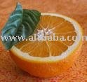 Supply Orange Juice Concentrate
