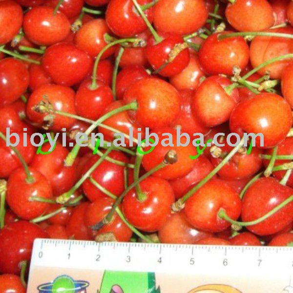 Supply IQF Cherry