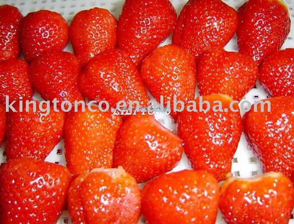 american 13 strawberry,China kington price supplier - 21food