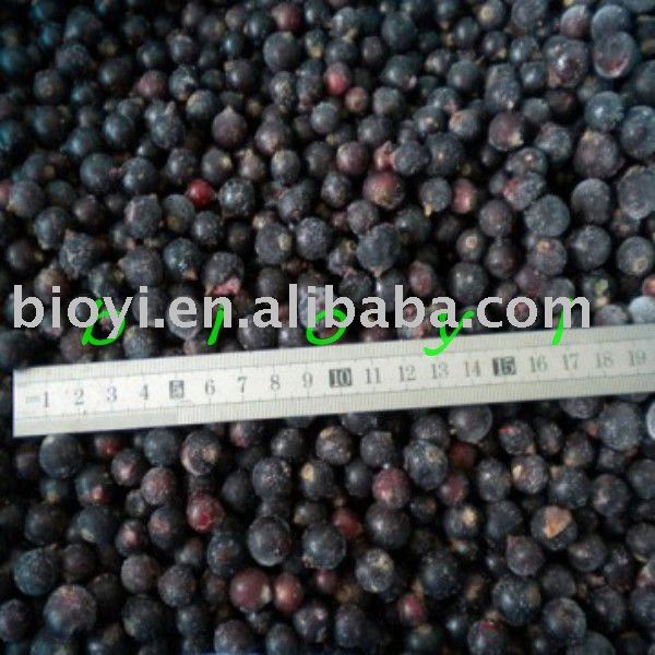 Sell chinese  frozen   blackcurrant s