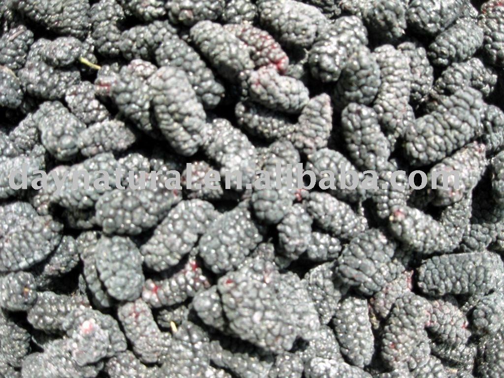 Frozen Mulberry--IQF