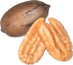 Raw Rosted and Dried Pecan Nuts For Sale