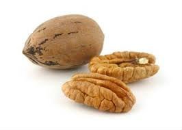 HIGH QUALITY PECAN NUTS AND PECAN KERNELS