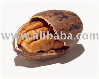 Pecan nuts and Kernel  for sale