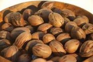 200 MT Pecan Nuts for  Export