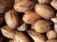 Pecan Nut