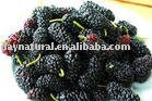 Frozen  Fruit ---- Mulberry   IQF 