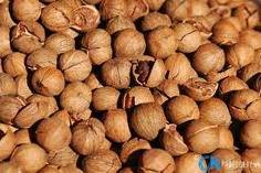 Roasted and Non roasted Pecan Nuts