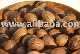 HIGH QUALITY PECAN NUTS AND PECAN KERNELS
