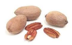 Pecan Nuts