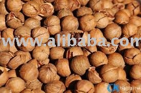 best quality Pecans nuts for sale