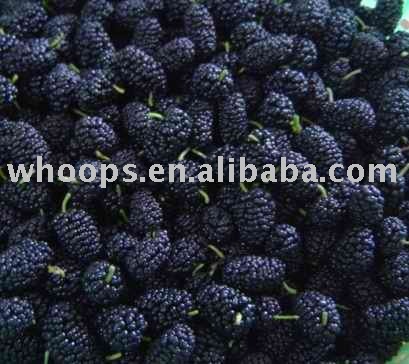 Natural iqf mulberry