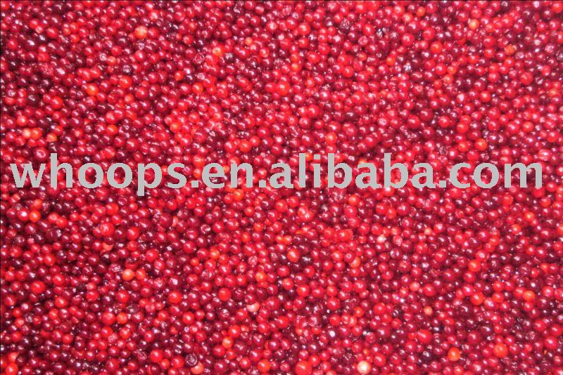 Wild  IQF   Frozen   lingonberry 