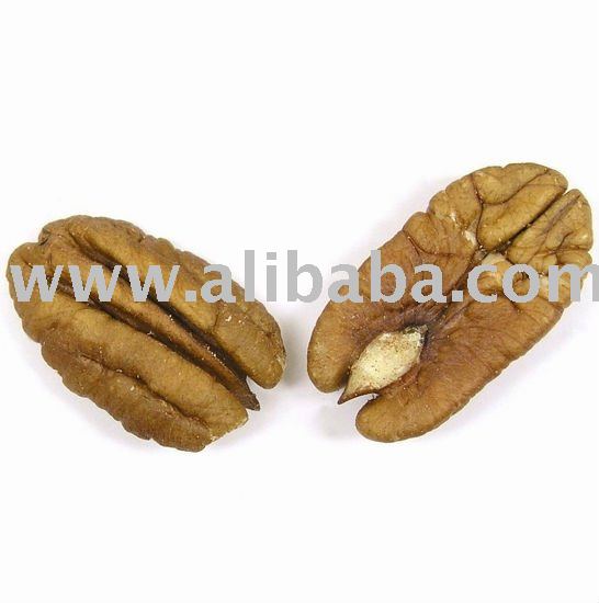 Jumbo Raw Georgia Pecan Nuts Ready Now.