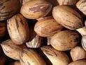 pecan nuts