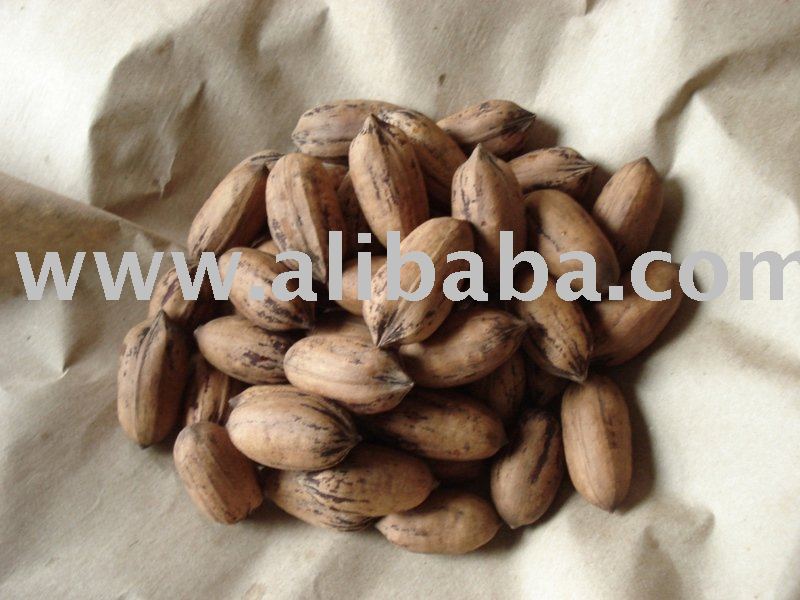 Pecans 2010 Inshell