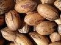 Raw Pecan Nuts