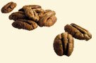 Sugar Coated Pecans