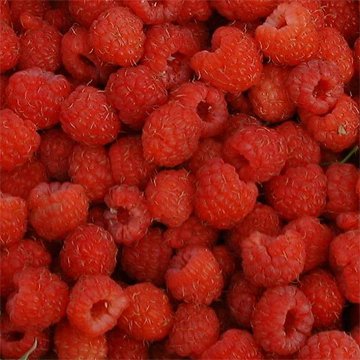 IQF raspberry (frozen food)