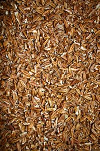 Pecan Nuts - Pieces