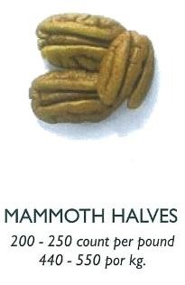 Pecan Mammoth Halves