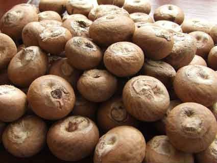 Split And Whole Betel Nuts Products Cameroon Split And Whole Betel Nuts Supplier