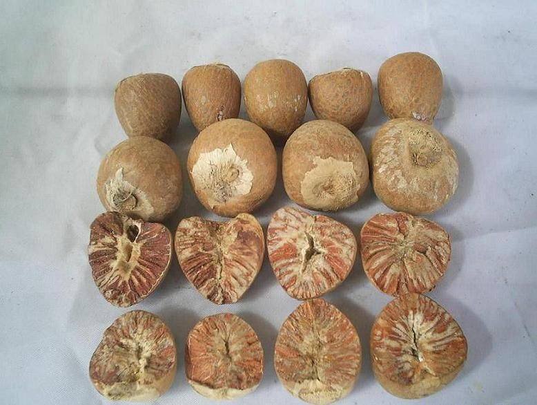 Betel Nuts (Areca Nut) for sale