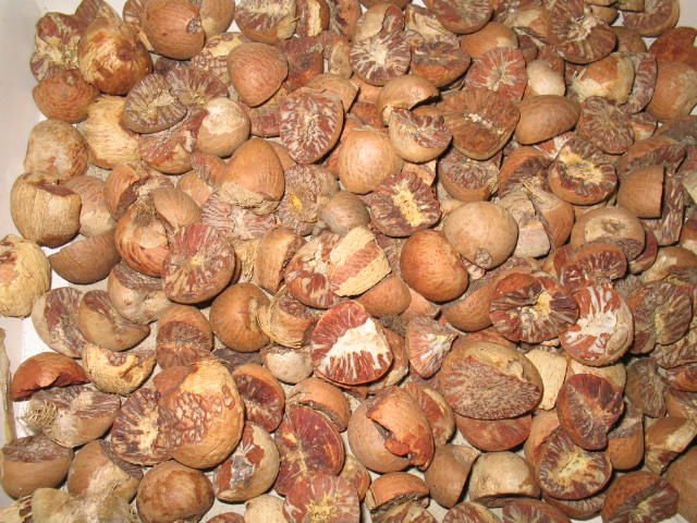 Betel nuts