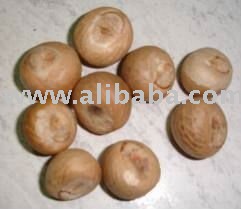 Split and Wholw Betel nuts