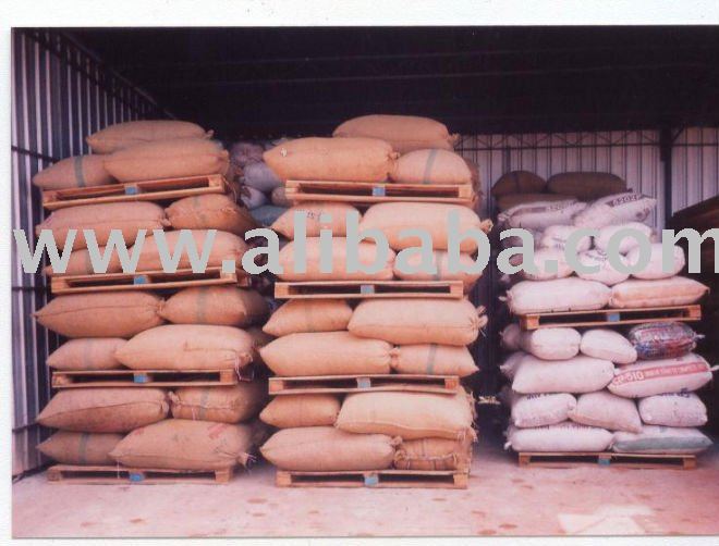 SPLIT BETEL  NUT S GOOD  CUT 