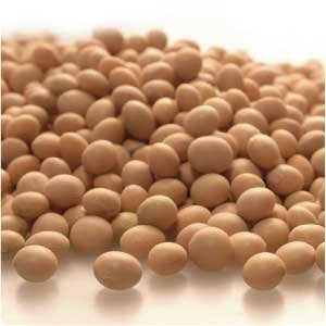 dried groundnut  for sale