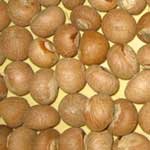 Whole Betel Nuts