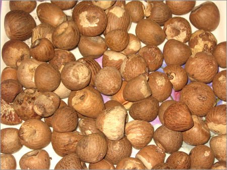 Betal Nuts, Almonds,Cashews Kernels,Raw Cashew Nuts in Shell