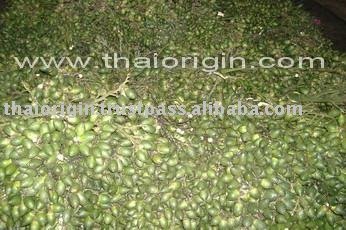  Fresh   Betel   nut s 4