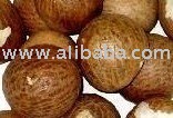 Quality Fresh and Dried Betel Nut , Peanut and Cashew nuts for sale .