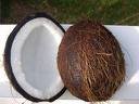 coco nut oil
