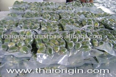 Fresh Betel nuts-Vacumn