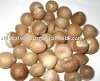 Fresh Betel Nuts