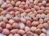 PEANUTS KERNEL