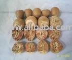 Natural sun dry Betel nuts for sale