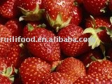 sell 2010 new crop`````strawberry=fragaria (latin)