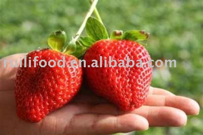 more fresh   nutrition  ````` fruit  , fresh  fruit  , fresh strawberry