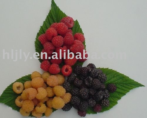 berries