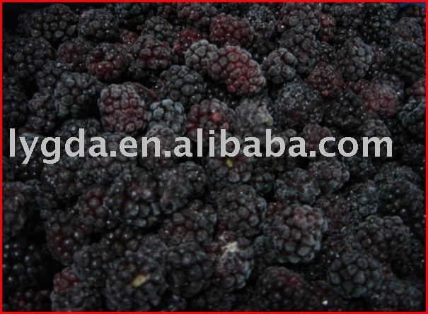  Frozen   Blackberry  ( IQF   Blackberry )