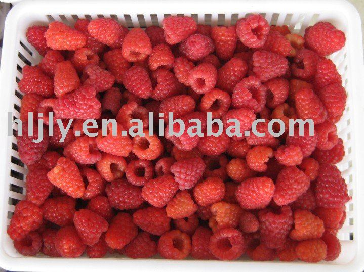 New Crop Frozen Raspberry